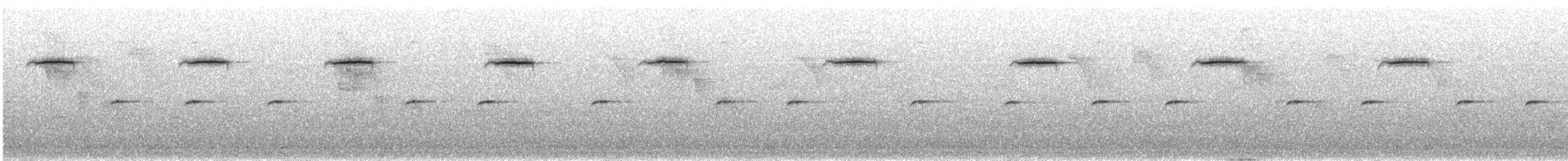 Fujian Niltava - ML30547831