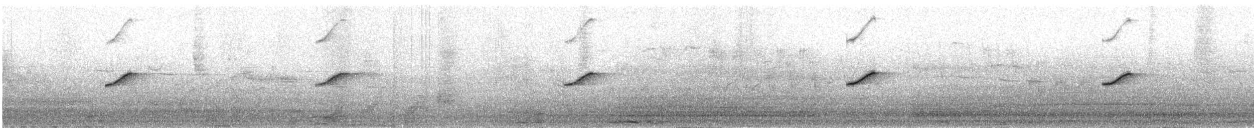 Горихвістка сиза - ML30547881
