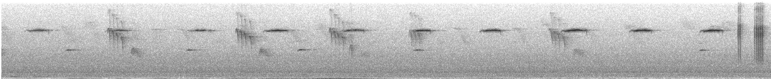 Fujian Niltava - ML30547891