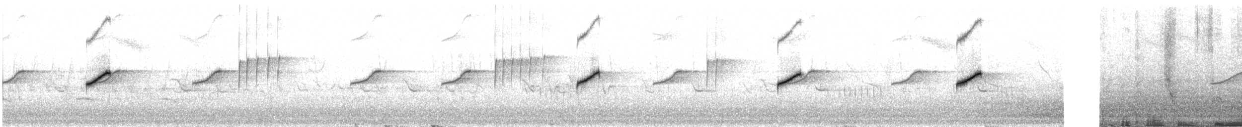Горихвістка сиза - ML30548251