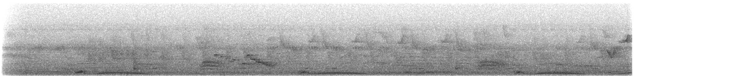 bronsekeiserdue - ML305482631