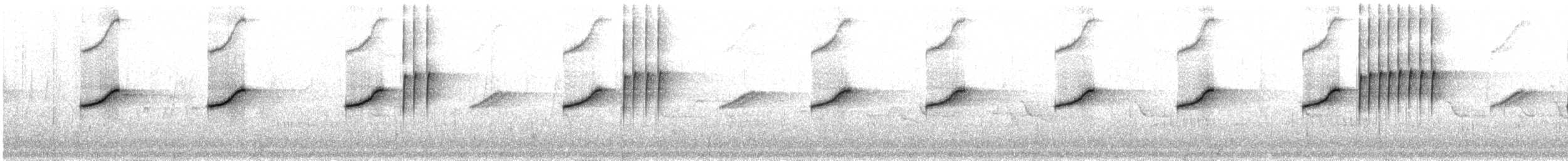 Горихвістка сиза - ML30548281