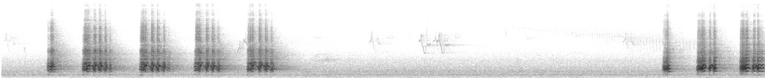 White Eared-Pheasant - ML30552051