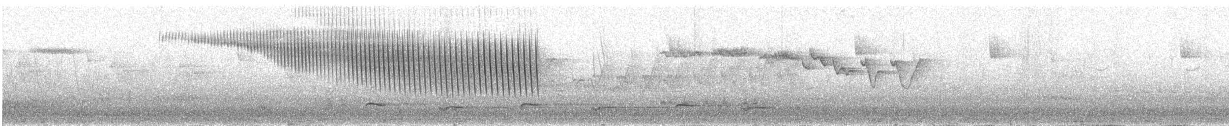Goldbinden-Laubsänger - ML30552141