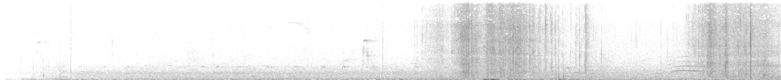hvitbrynsvartspett - ML305528961