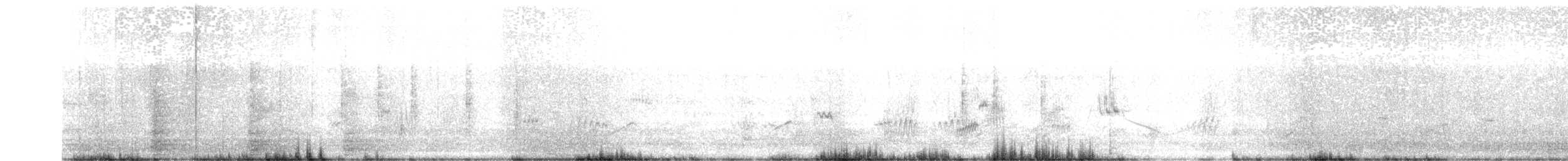 Black-browed Reed Warbler - ML305534541