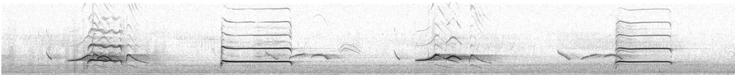 Lophophore de Lhuys - ML30554901