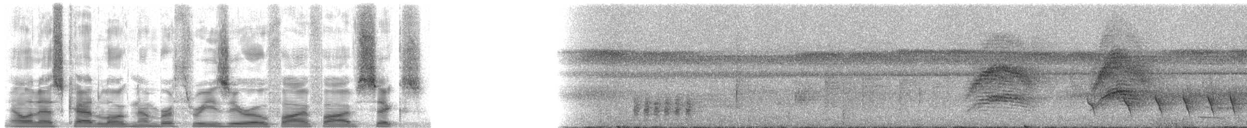 Grisin de Todd - ML30556