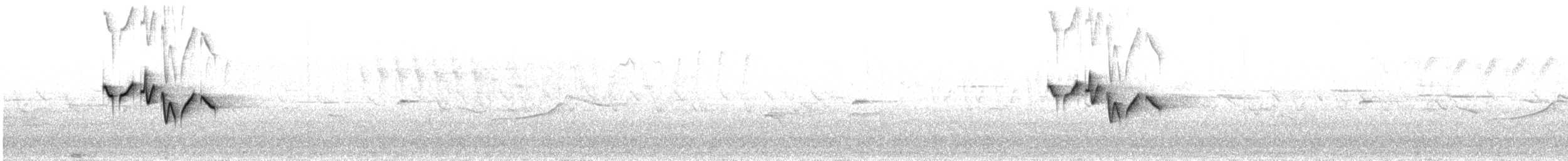Красноголовая короткохвостка - ML30556891