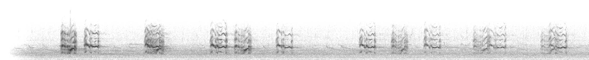 Крячок рябодзьобий (підвид sandvicensis) - ML305581