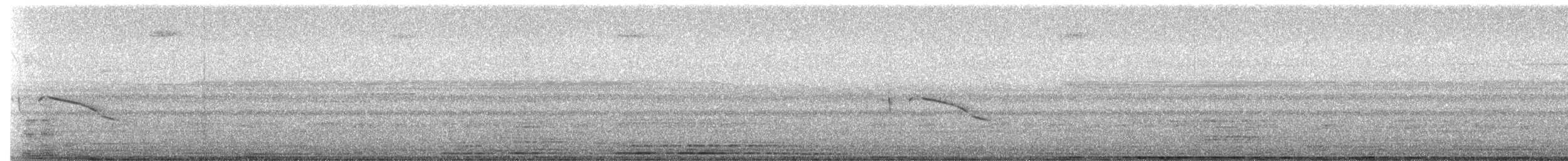 Weißschwanz-Nachtschwalbe - ML305582521