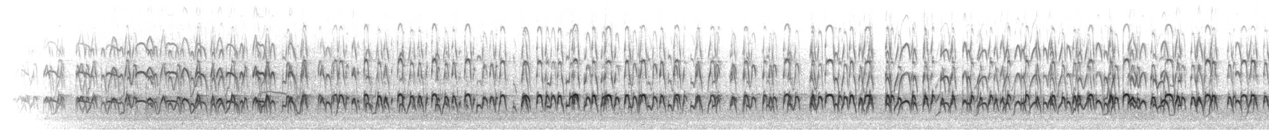 Austernfischer - ML305583