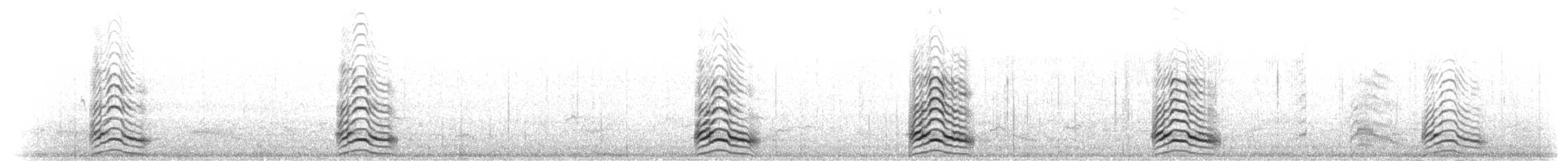 ニシズグロカモメ - ML305586