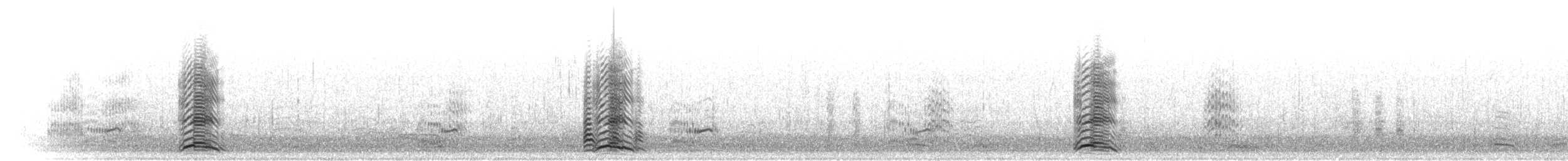 セグロカモメ（argentatus／argenteus） - ML305593