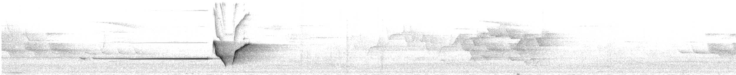 Brownish-flanked Bush Warbler - ML30559451