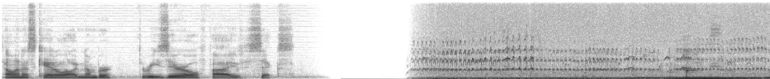 Black Turnstone - ML3056