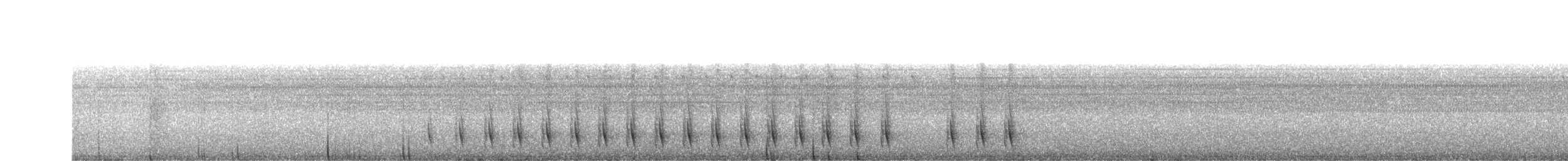 Serra Antwren (Restinga) - ML305609781