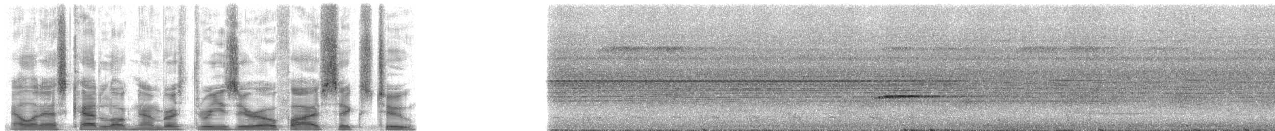 Şerit Kanatlı Çıtkuşu - ML30562