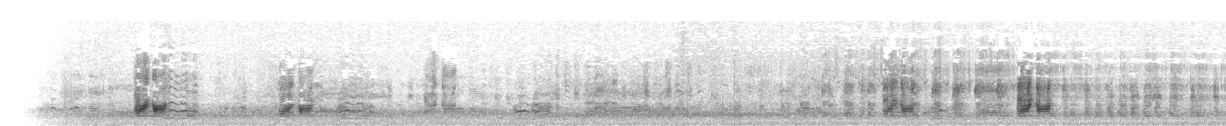 אווז אחו טונדרה - ML305701