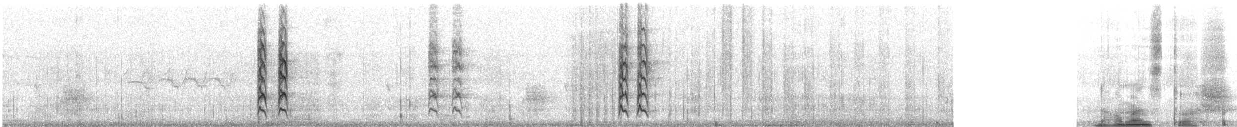 Naumann's Thrush - ML305780151