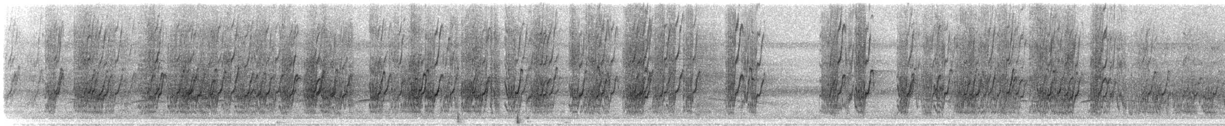 Schwarzohrpapagei (menstruus/rubrigularis) - ML305810191