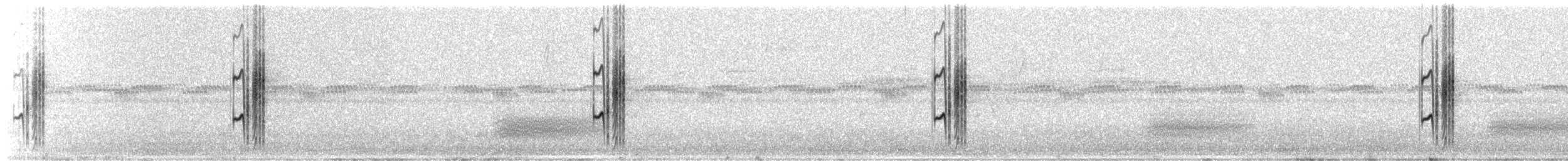 Gray-backed Tachuri - ML305810571