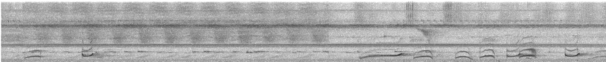 Short-tailed Nighthawk (nattereri) - ML305815611