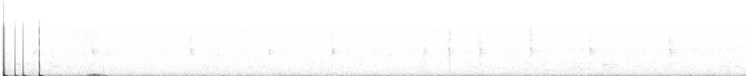 אווז לבן-מצח - ML305846261