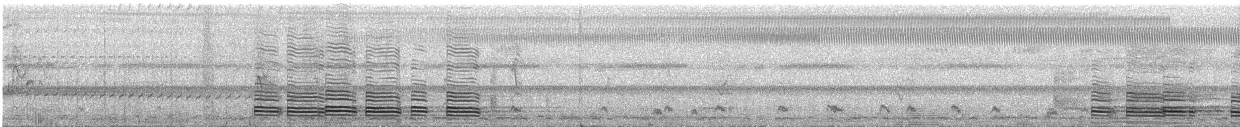 Острохвостый ибис - ML305861471