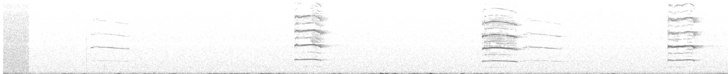 長耳鴞(otus/canariensis) - ML305887491