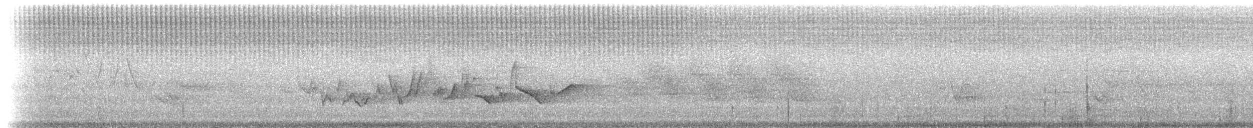 Чечевиця кармінова (підвид purpureus) - ML30588841