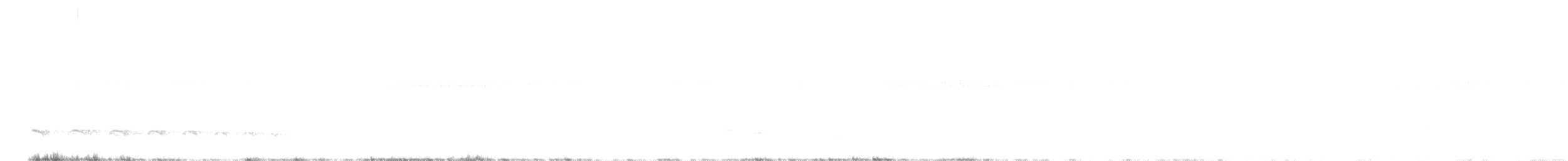 Streifenkopf-Ameisenvogel - ML305901101