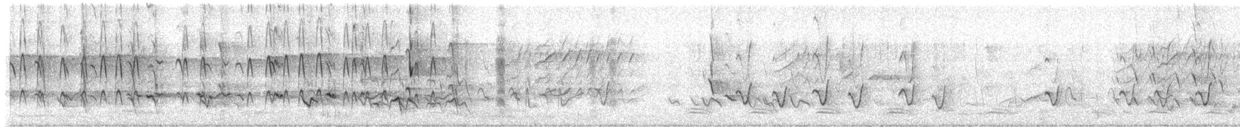 Méliphage cornu (melanops/meltoni) - ML305946481