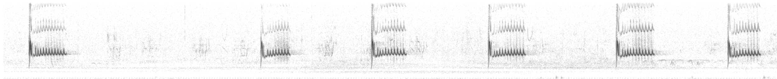 Felsenzaunkönig [obsoletus-Gruppe] - ML305974191