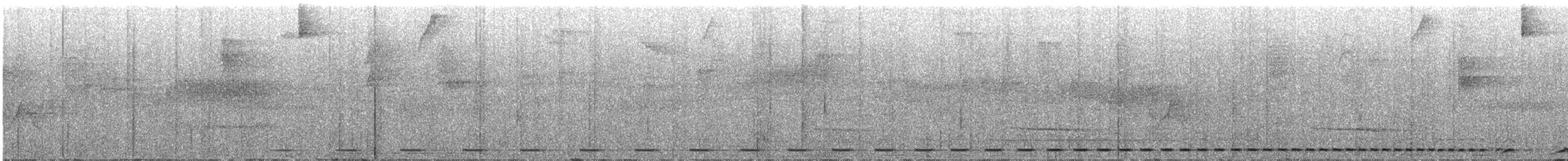 Streifenbrust-Ameisendrossel - ML305981161