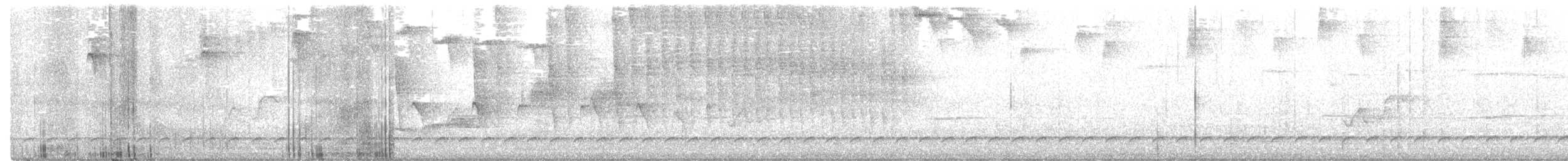 Bindenbrust-Ameisendrossel - ML306059961