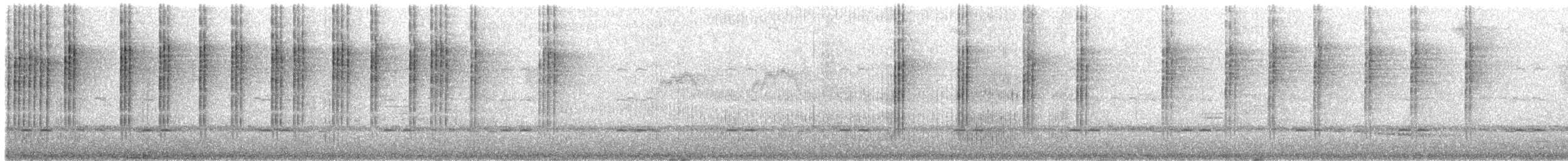 Черноухий колибри - ML306095731