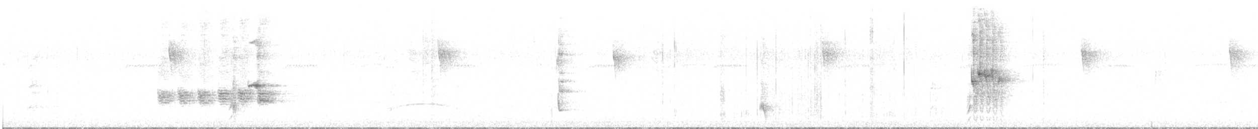 Moqueur noir - ML306121681