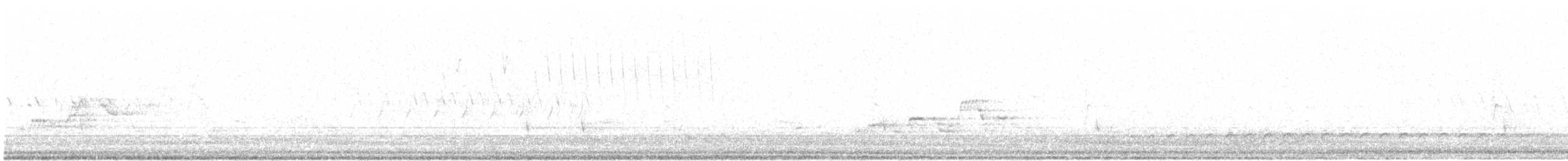 hvitbrynsvartspett - ML30613001
