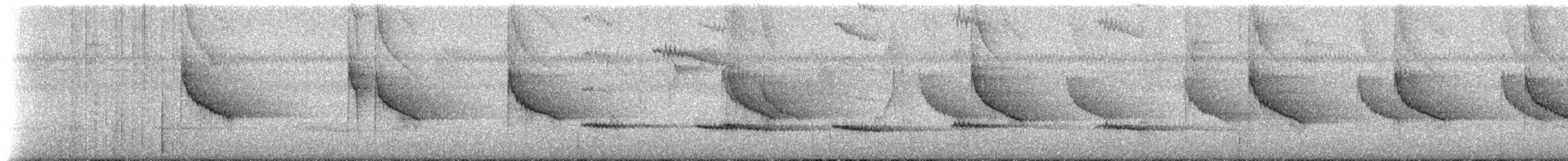 Белогорлая сорокопутовая танагра - ML306139