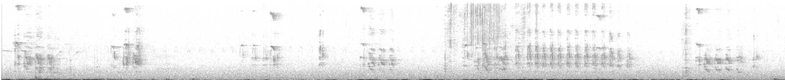 Hairy Woodpecker - ML30618541