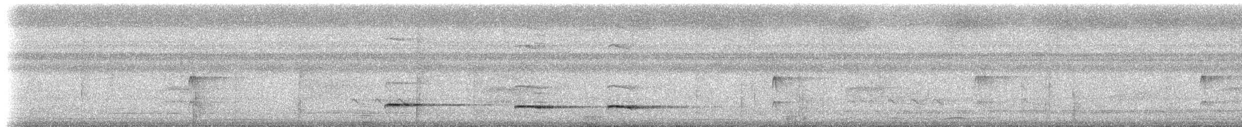 Graubrust-Ameisendrossel - ML306216