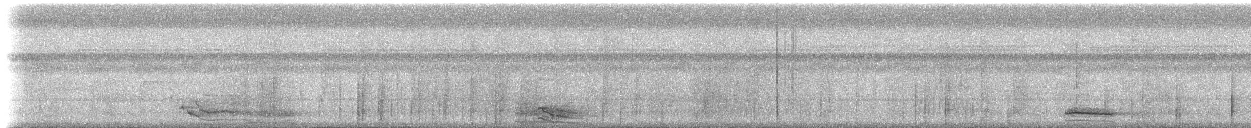 Colombian White-throated Capuchin - ML306217