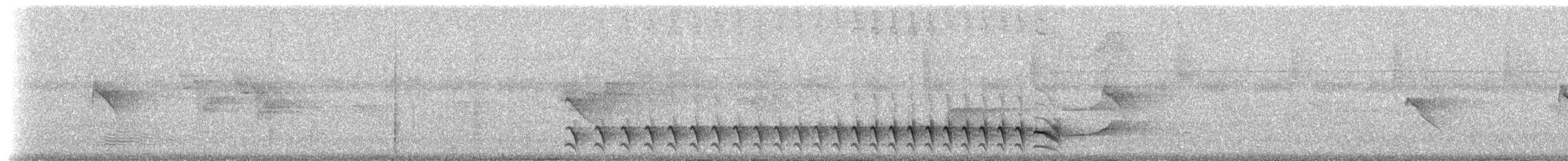 Black-hooded Antshrike - ML306218