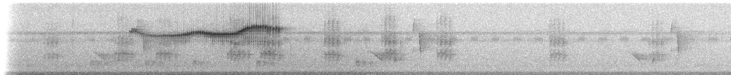 Golden-crowned Spadebill - ML306219
