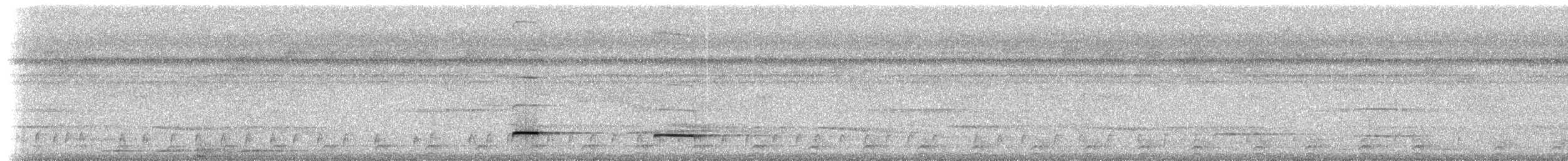 Black-faced Antthrush - ML306221