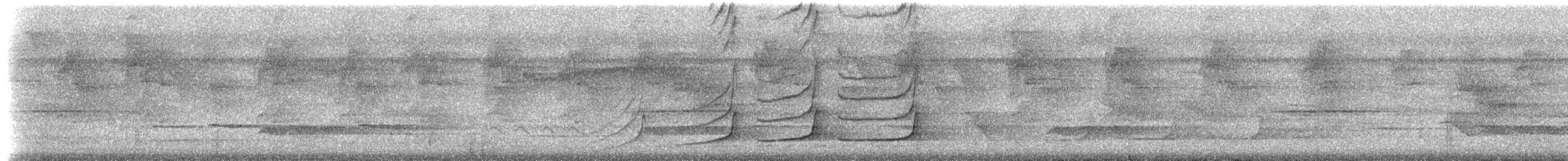 Northern Barred-Woodcreeper - ML306223