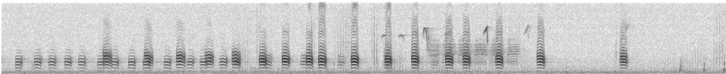 White-breasted Nuthatch - ML306225