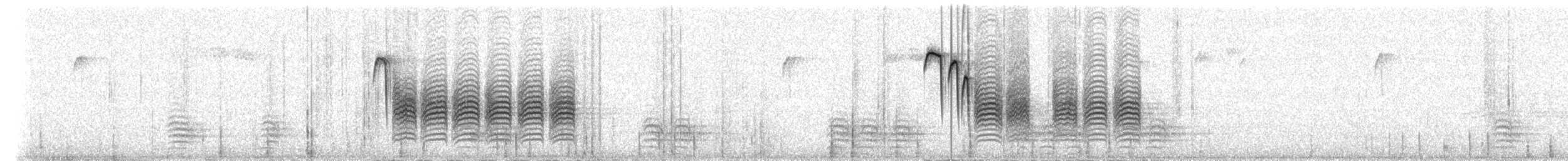 Black-capped Chickadee - ML306226