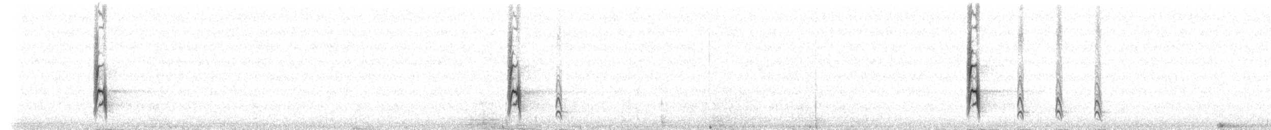 American Robin - ML306227